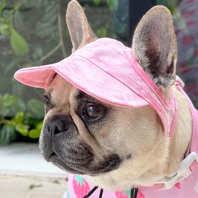 Dog Cap - Pink Stonewash
