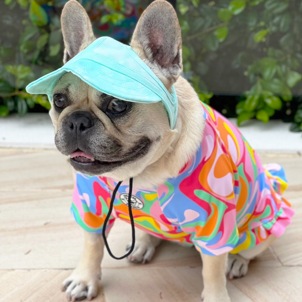 Dog Cap - Mint Stonewash