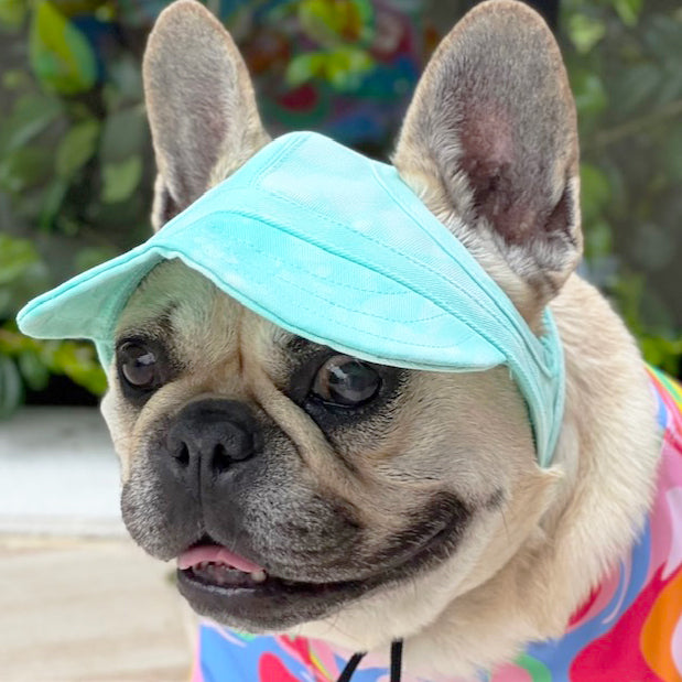 Dog Cap - Mint Stonewash