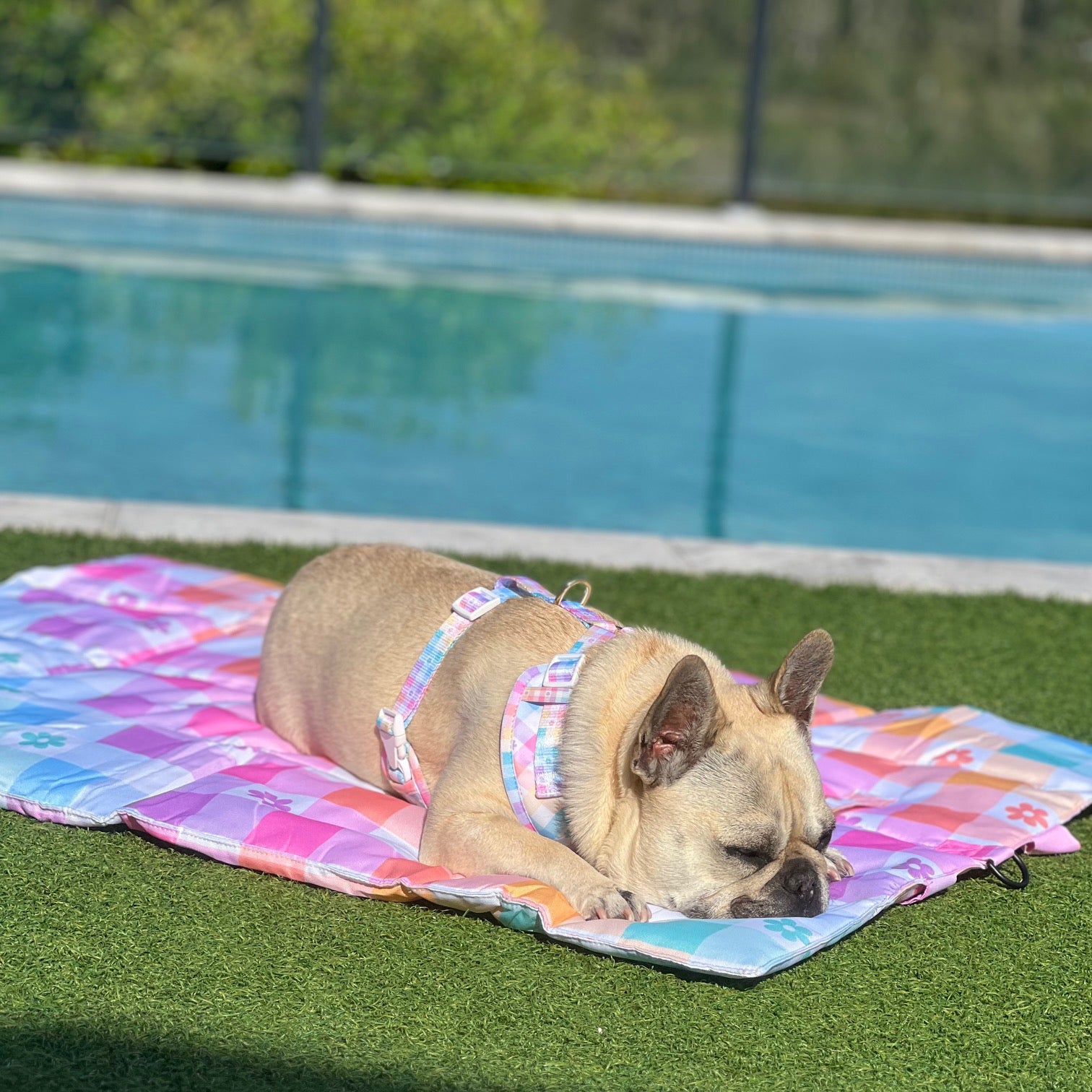 Gingham Wonderland - Adventure Mat