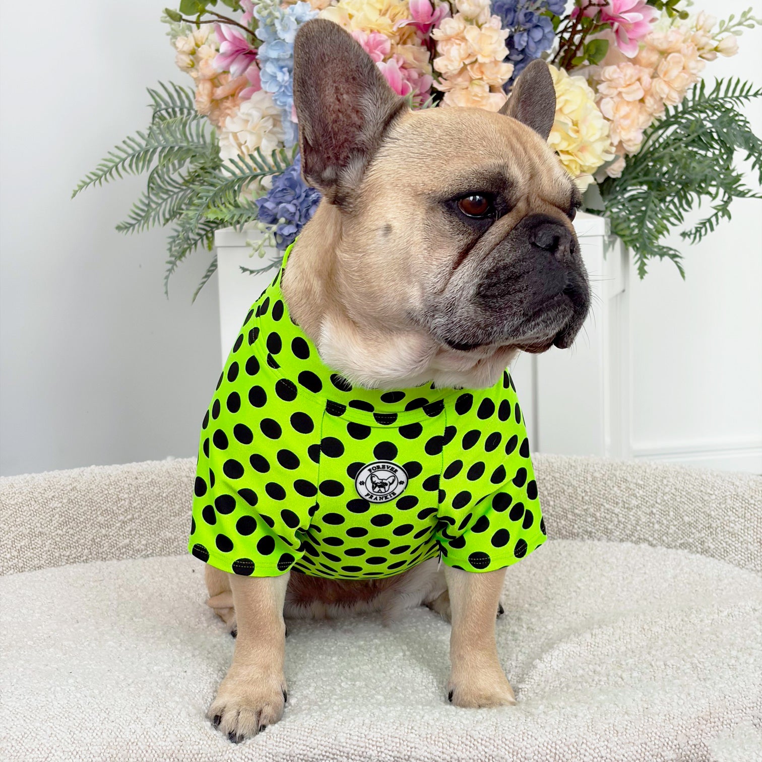 Lime Pawka Dots - Sun & Sand Rashie UV 50+