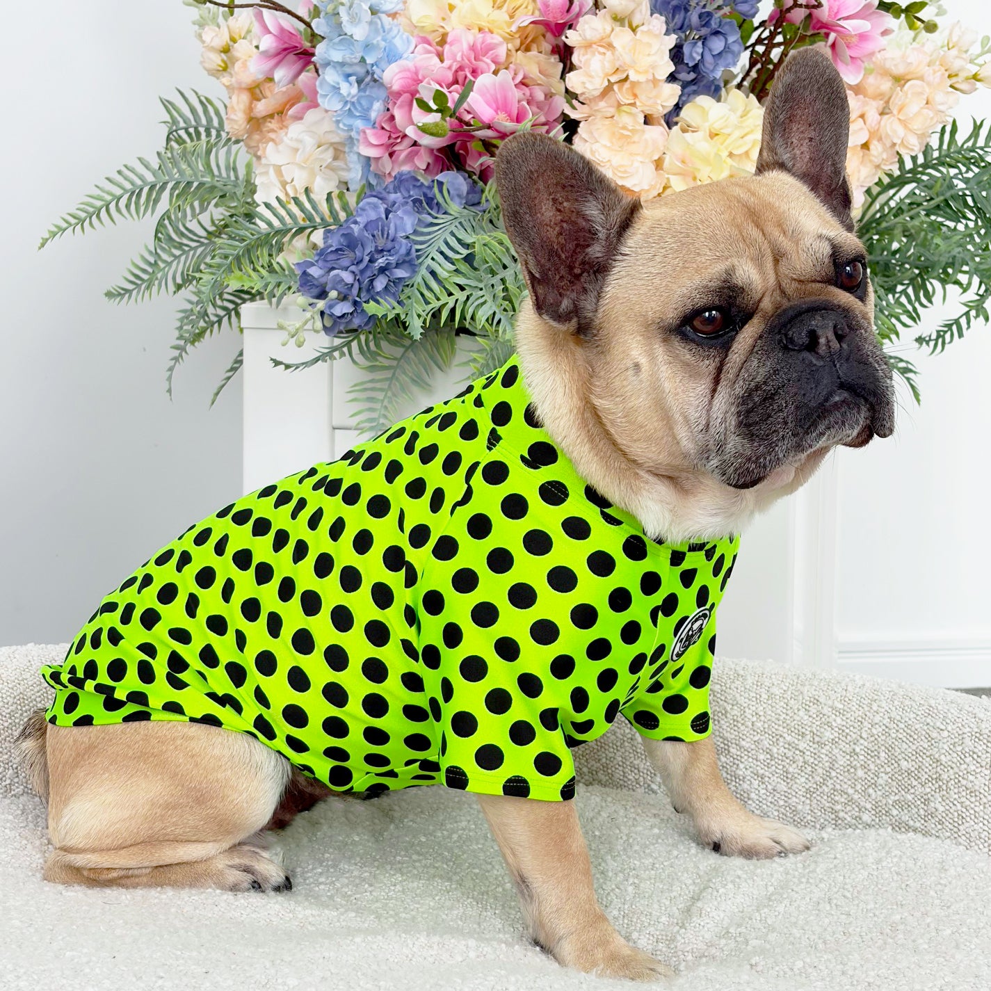 Lime Pawka Dots - Sun & Sand Rashie UV 50+