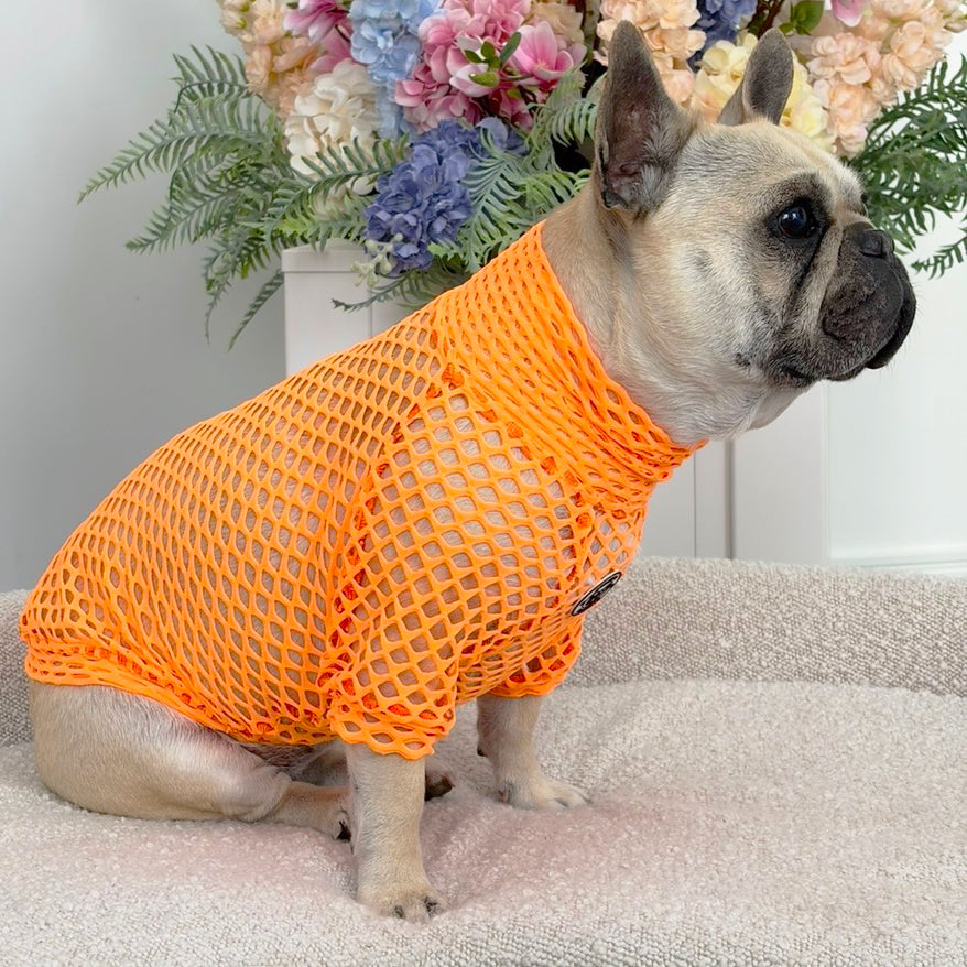 Luxe- Tangerine Tango Net Skivvy
