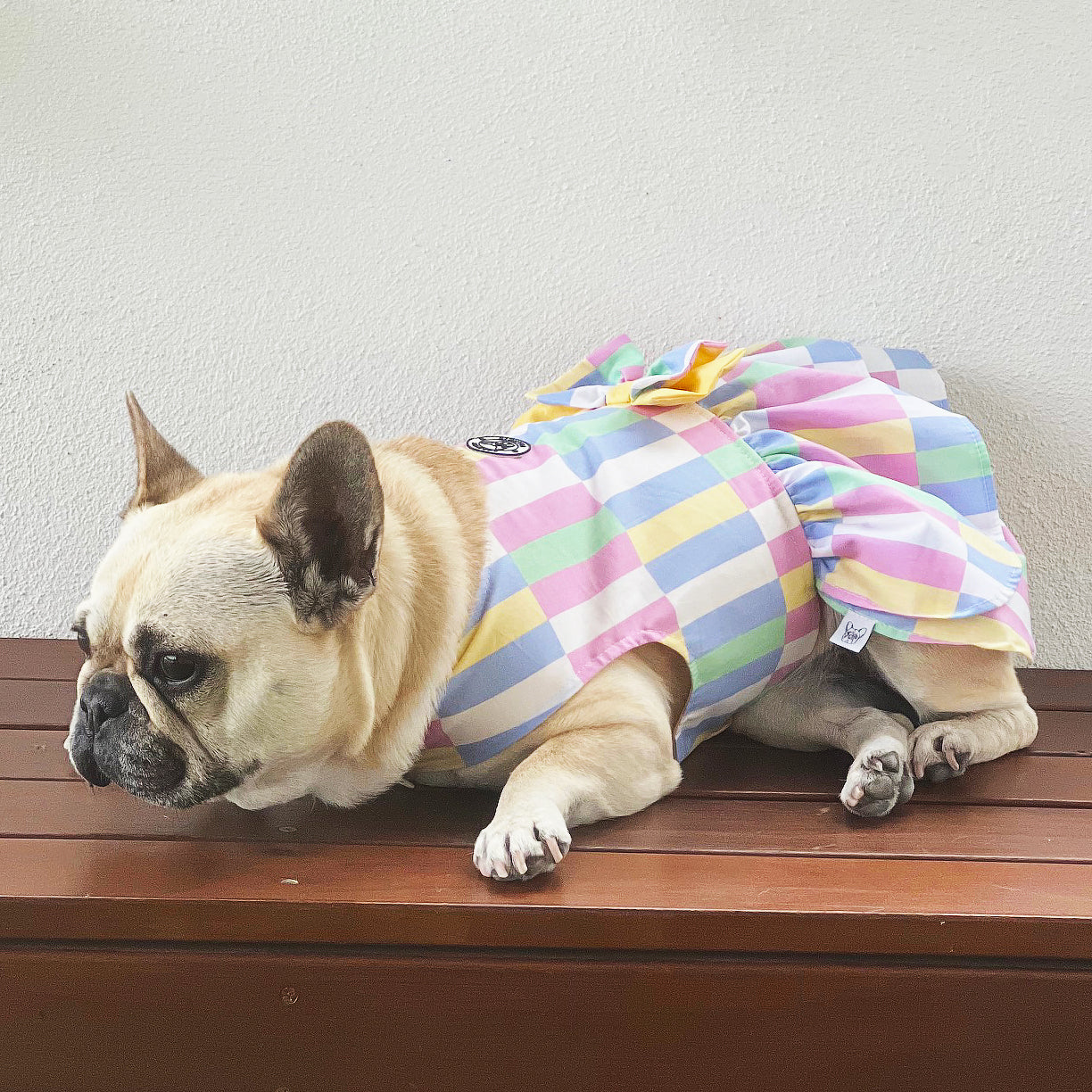 Pastel Patchwork Ruffles Dog Dress with bow