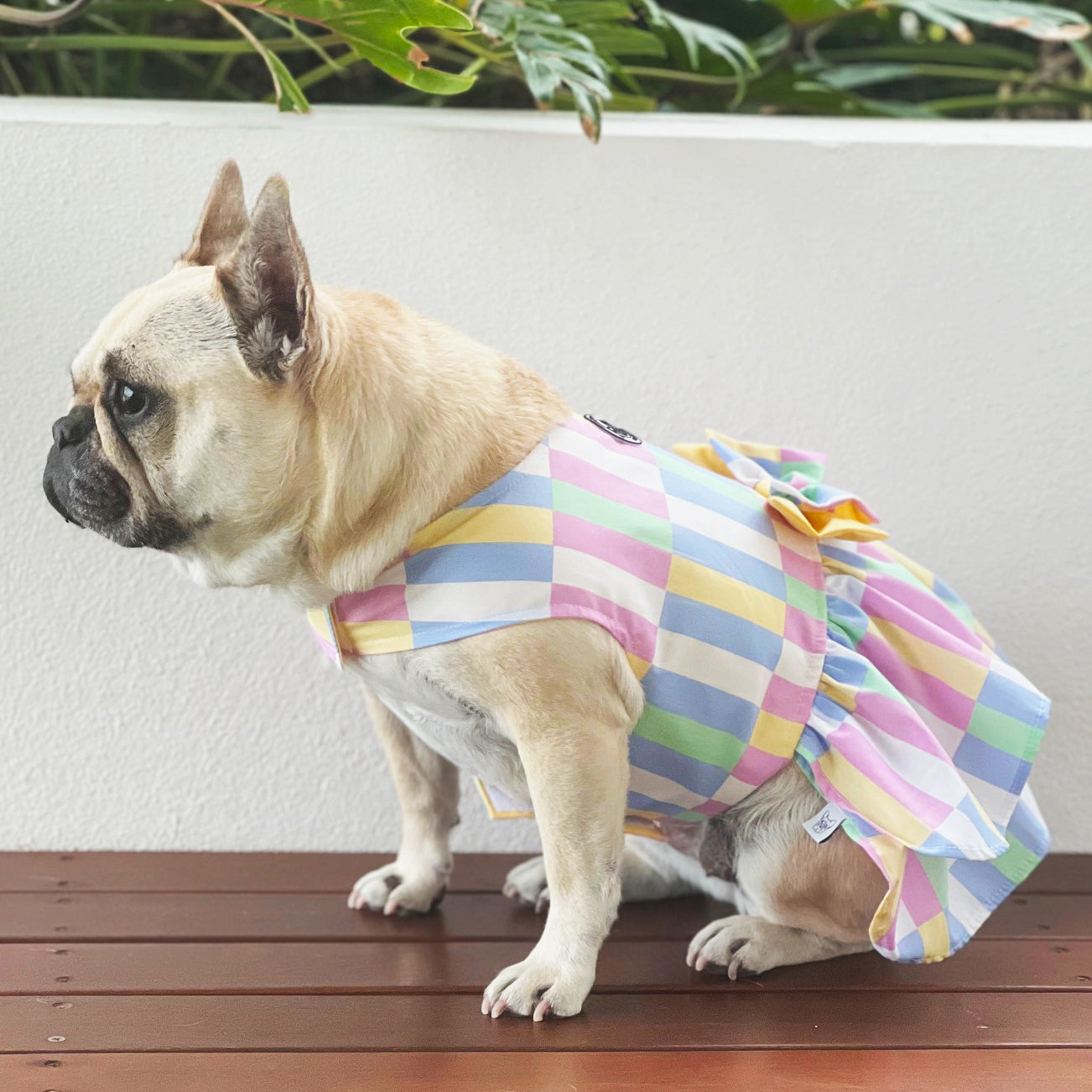 Pastel Patchwork Ruffles Dog Dress with bow