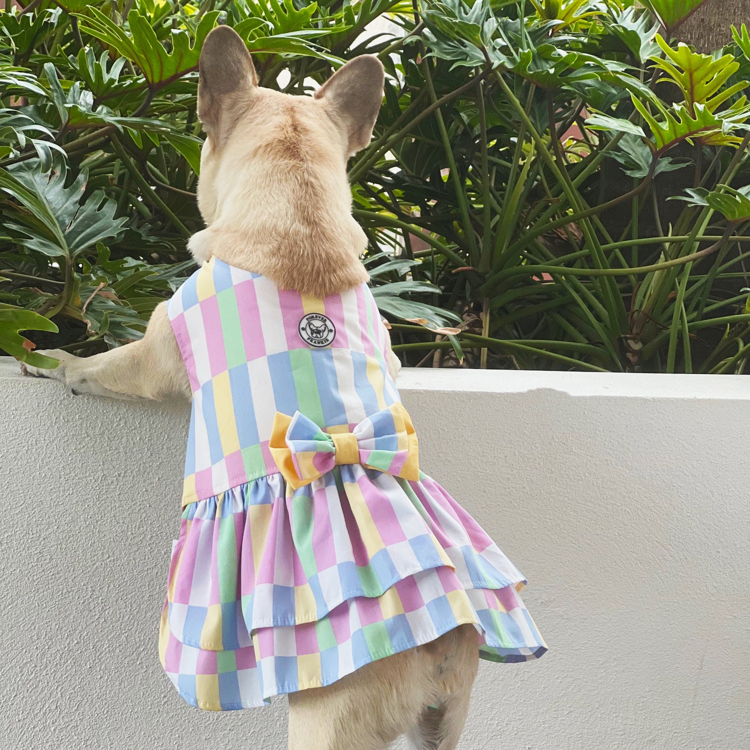 Pastel Patchwork Ruffles Dog Dress with bow