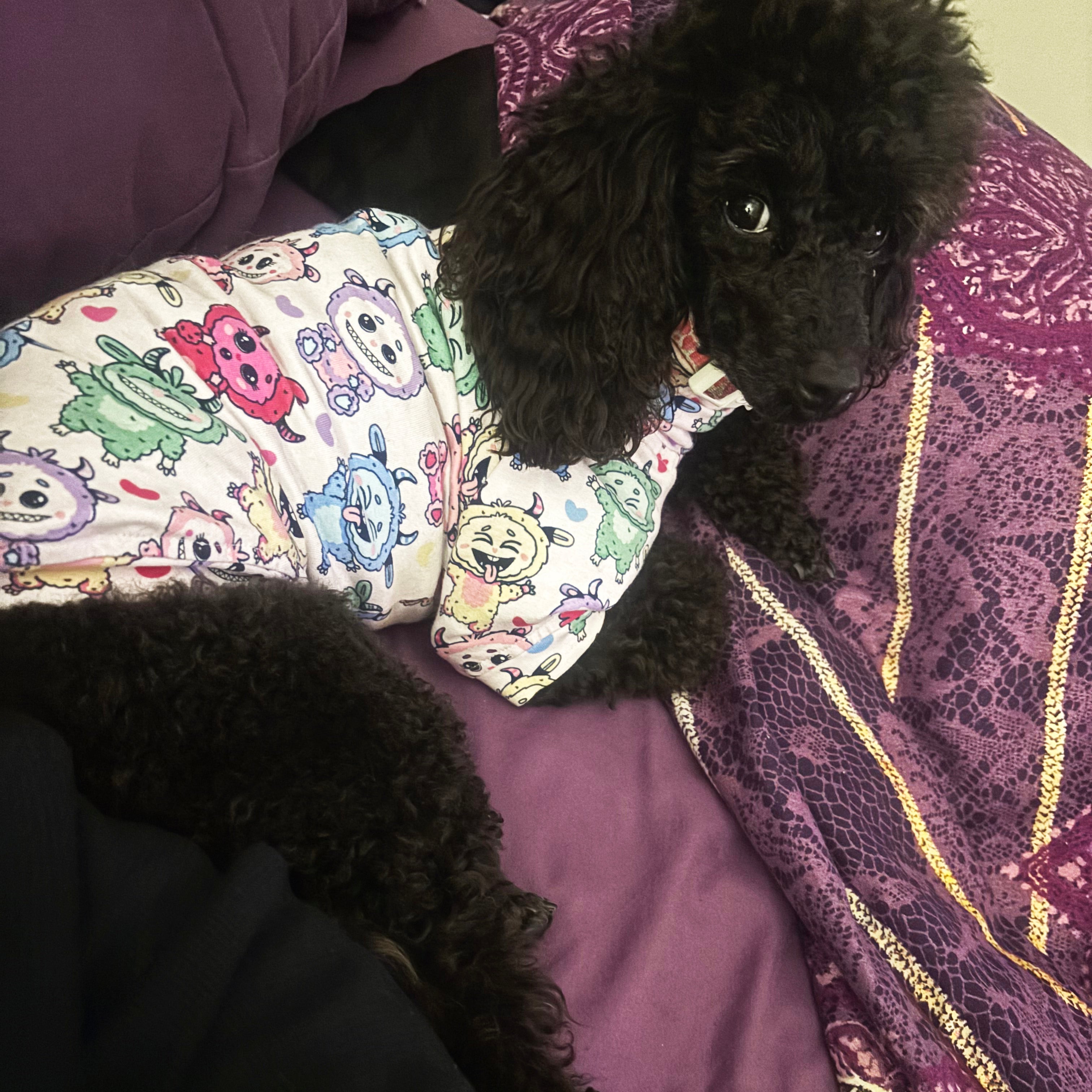 Bubblegum Pop Monsta - Dog Skivvy