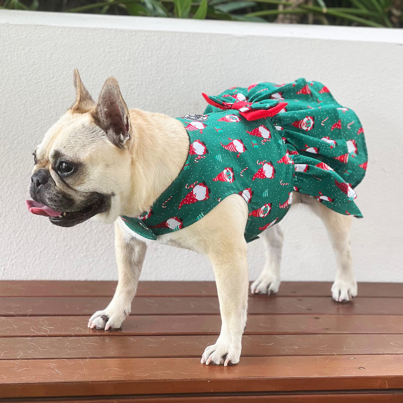 Gnome Sweet Gnome  Ruffles Dog Dress with bow (Limited Edition)