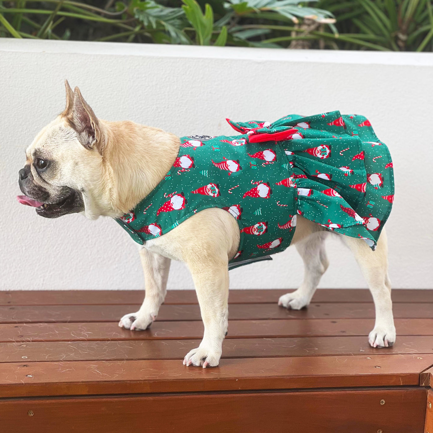 Gnome Sweet Gnome  Ruffles Dog Dress with bow (Limited Edition)