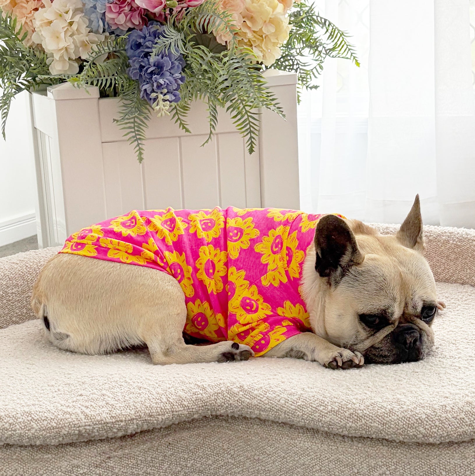 Sunbeam Bloom Dog Skivvy