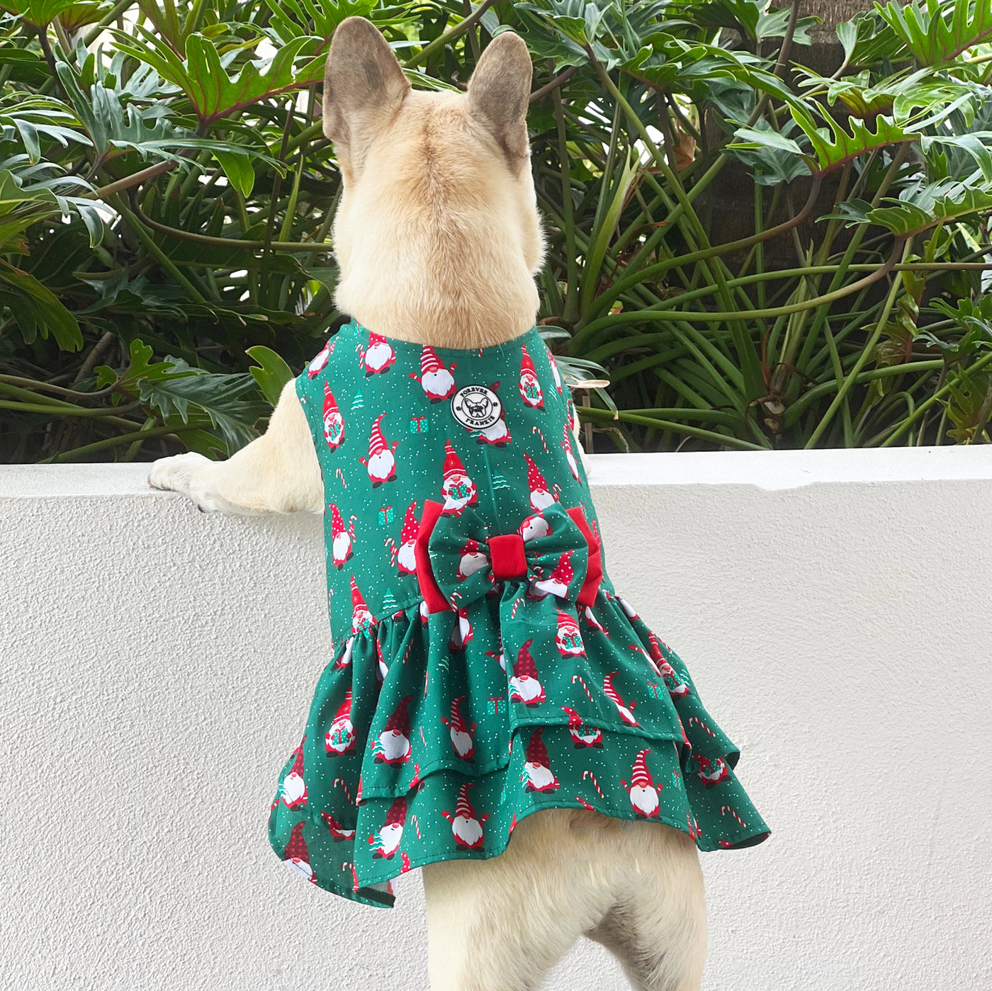 Gnome Sweet Gnome  Ruffles Dog Dress with bow (Limited Edition)