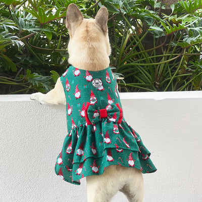 Gnome Sweet Gnome  Ruffles Dog Dress with bow (Limited Edition)