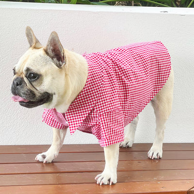 Red Gingham - Party Shirt