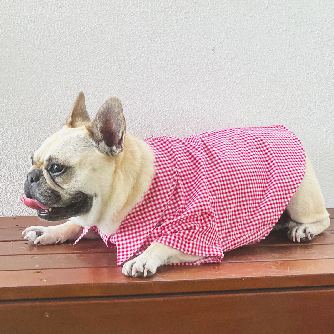 Red Gingham - Party Shirt