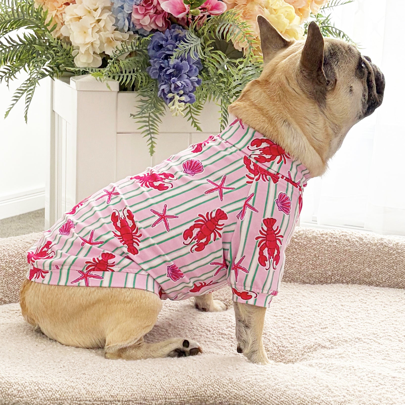 Pinchy Paws Dog Skivvy