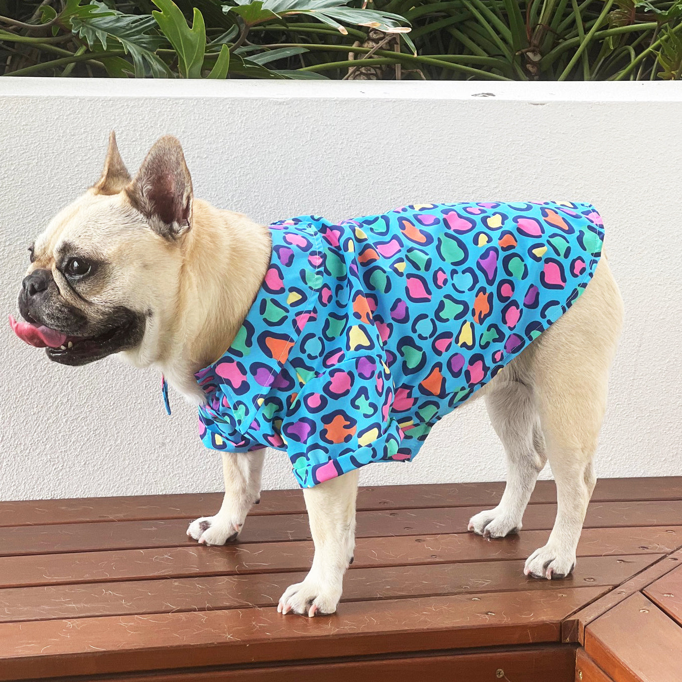 Psychedelic Cheetah - Party Shirt