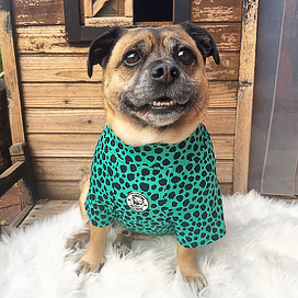 Emerald Splash Leopard - Sun & Sand Rashie UV 50+