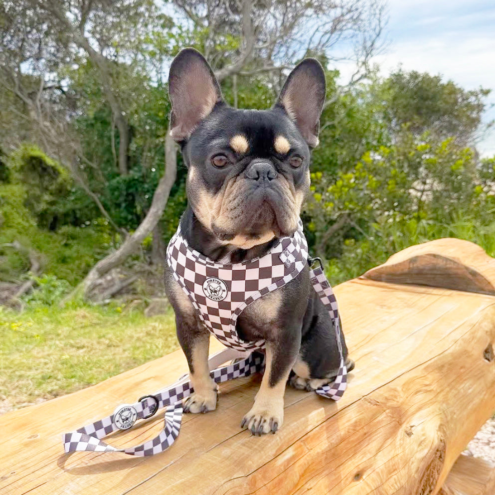 Cocoa Check - Adjustable Harness