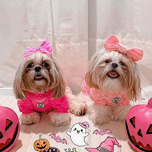 Hot Pink Lace - Luxe Dog Skivvy