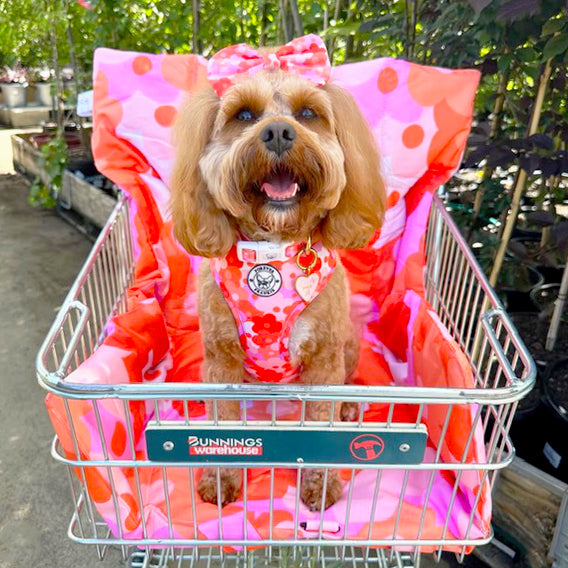 Sunset Bloom - Adventure Mat