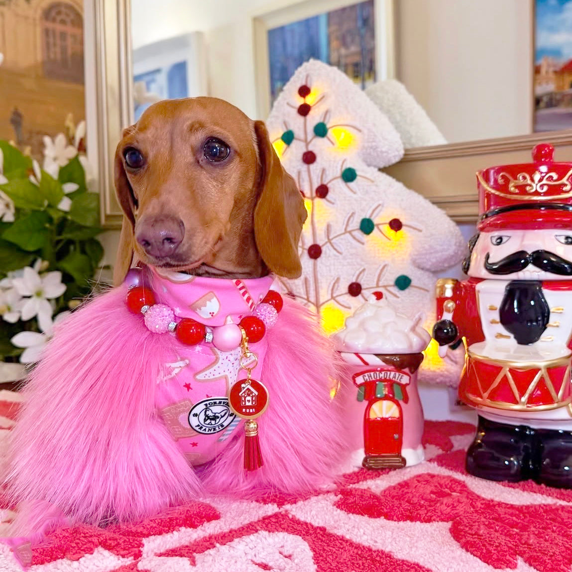 Sugar Rush Glam - Dog Skivvy