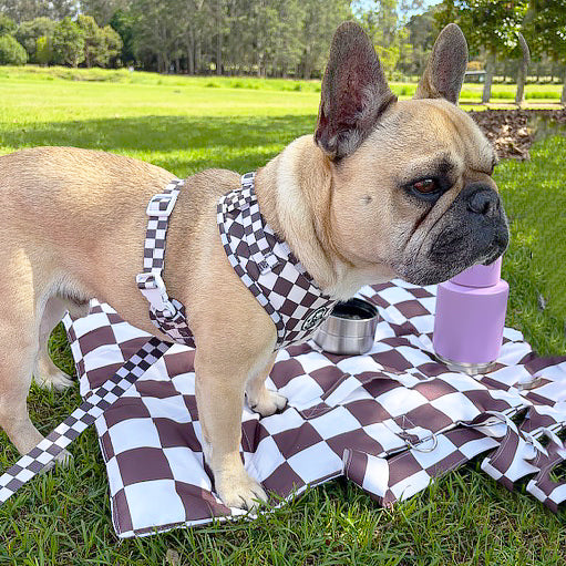 Cocoa Check- Adventure Mat