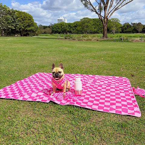 Pink Lemonade - Large Beach or Picnic Mat!