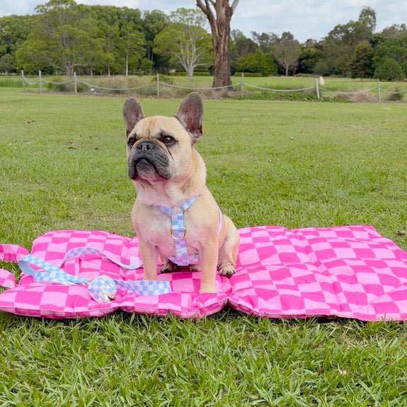 Pink Lemonade - Adventure Mat