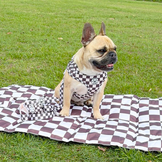 Cocoa Check- Adventure Mat