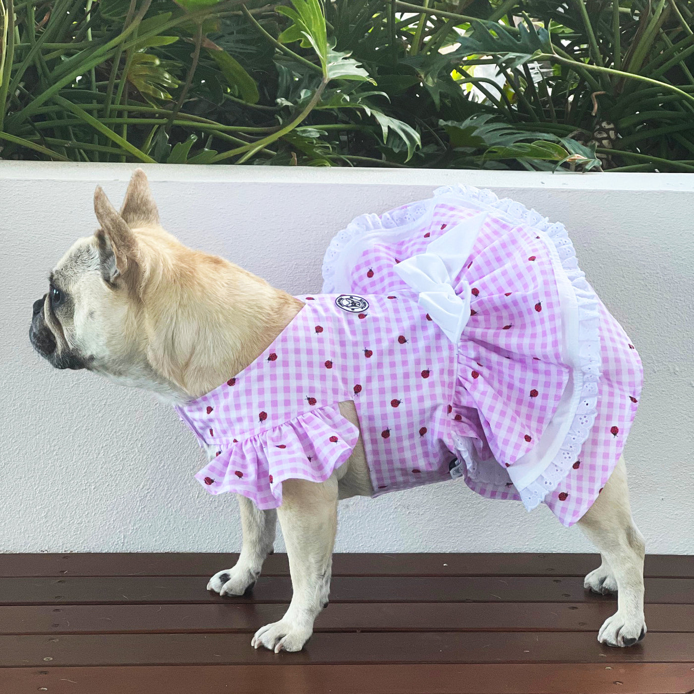 Pink Lady Bug Gingham TRIPLE Ruffle Dog Dress with bow (Limited Edition)