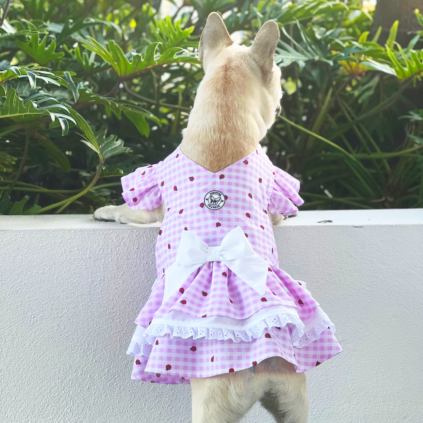 Pink Lady Bug Gingham TRIPLE Ruffle Dog Dress with bow (Limited Edition)