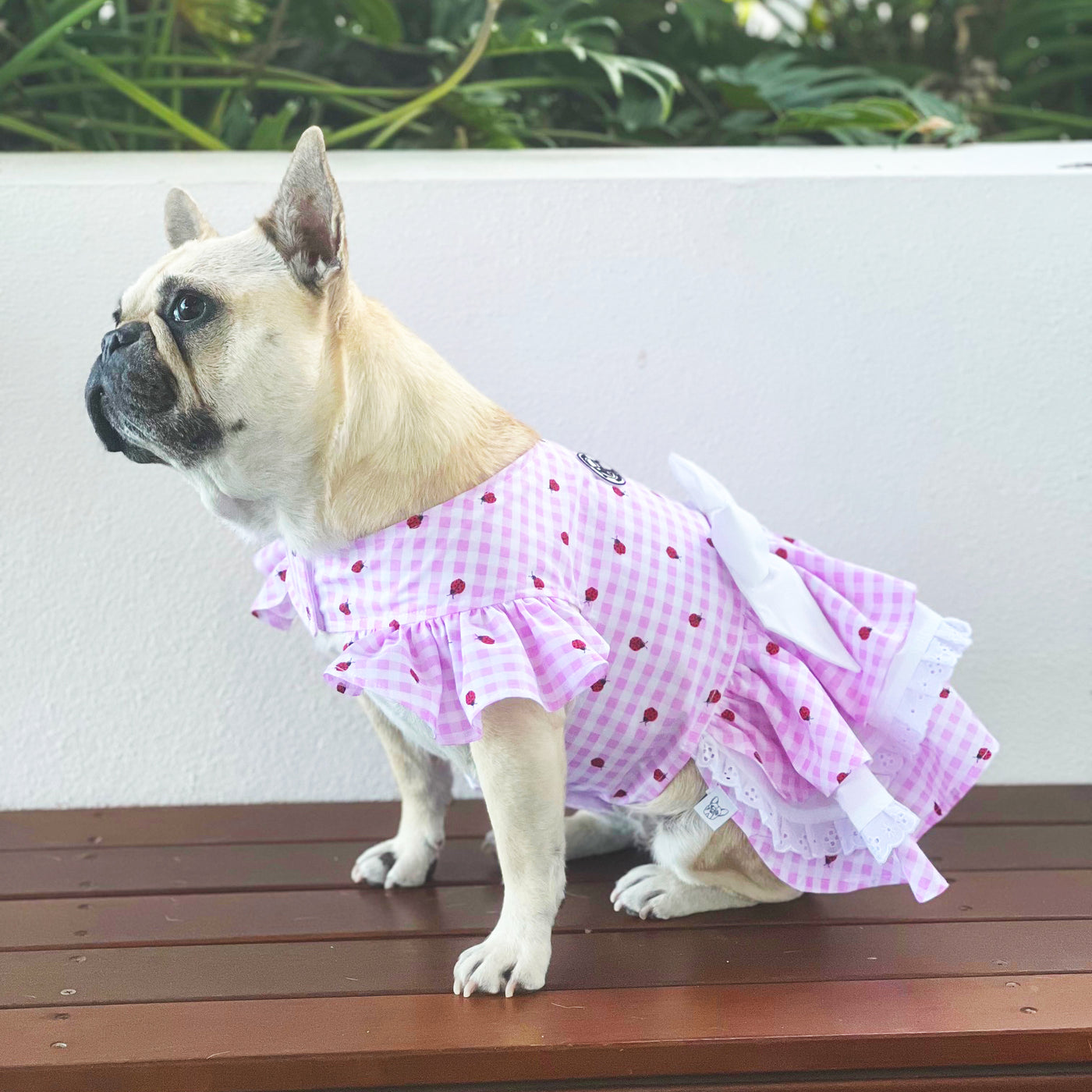 Pink Lady Bug Gingham TRIPLE Ruffle Dog Dress with bow (Limited Edition)