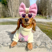 Buttercup Mood Dog Skivvy