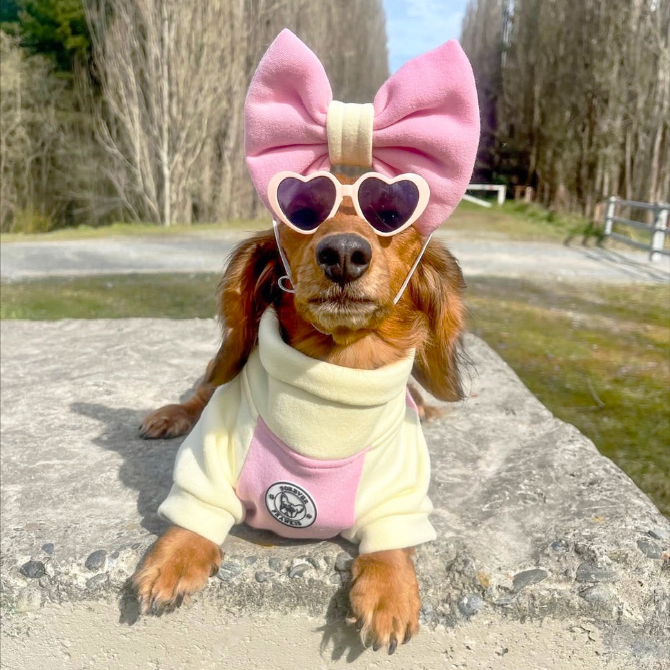 Buttercup Mood Dog Skivvy