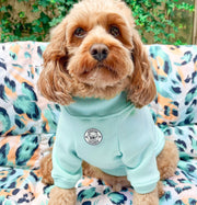 Mint Dog hoodie!!!-not skivvy!