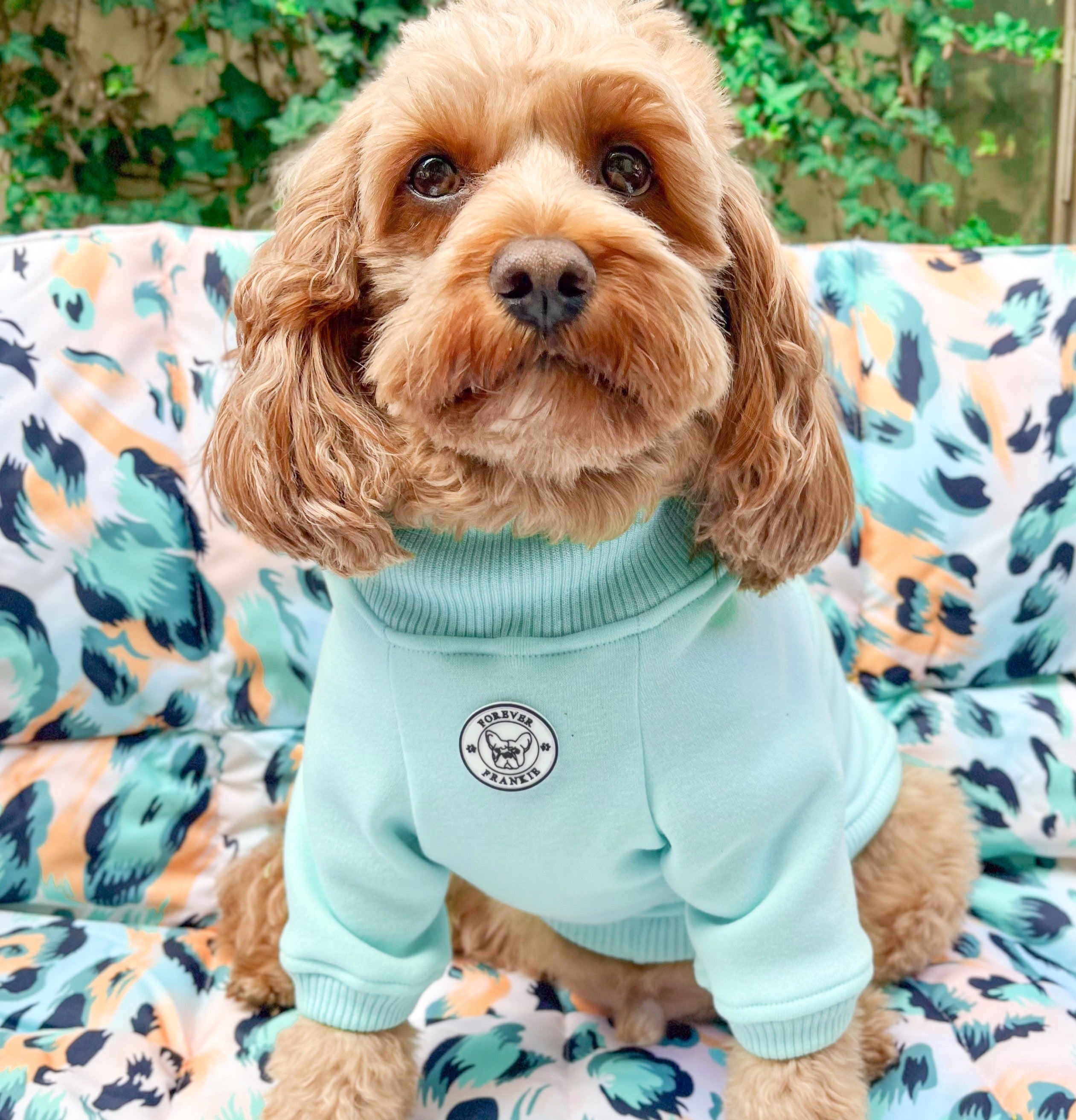 Mint Dog hoodie!!!-not skivvy!