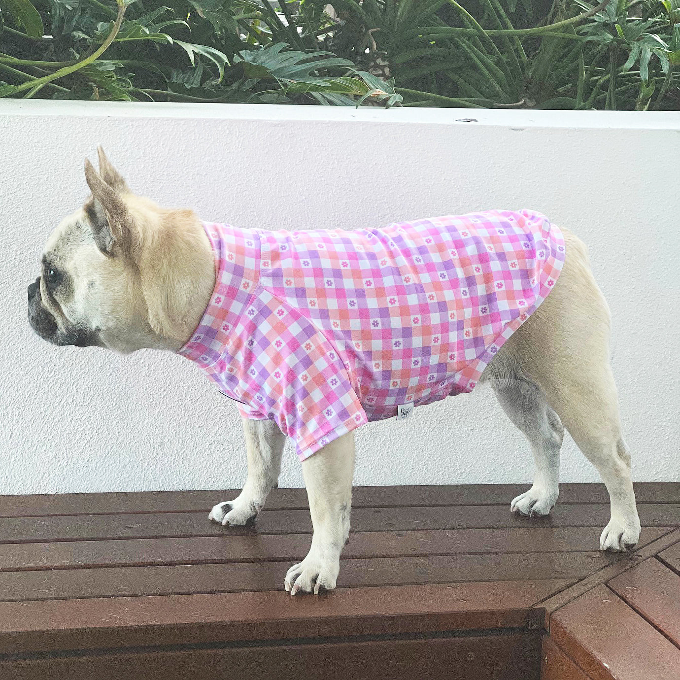 Gingham Explosion- Sun & Sand Rashie UV 50+