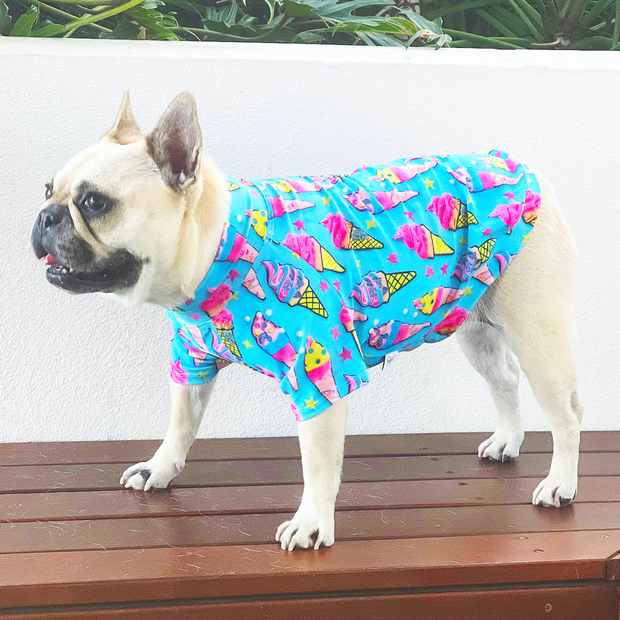 I scream for Ice Cream - Sun & Sand Rashie UV 50+ -  END OF LINE