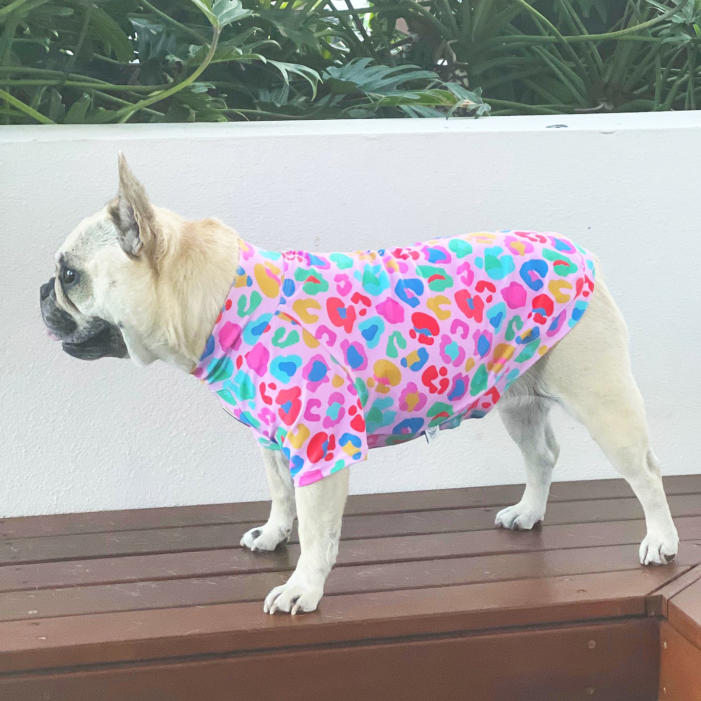 Pink Cheetah Party - Sun & Sand Rashie UV 50+