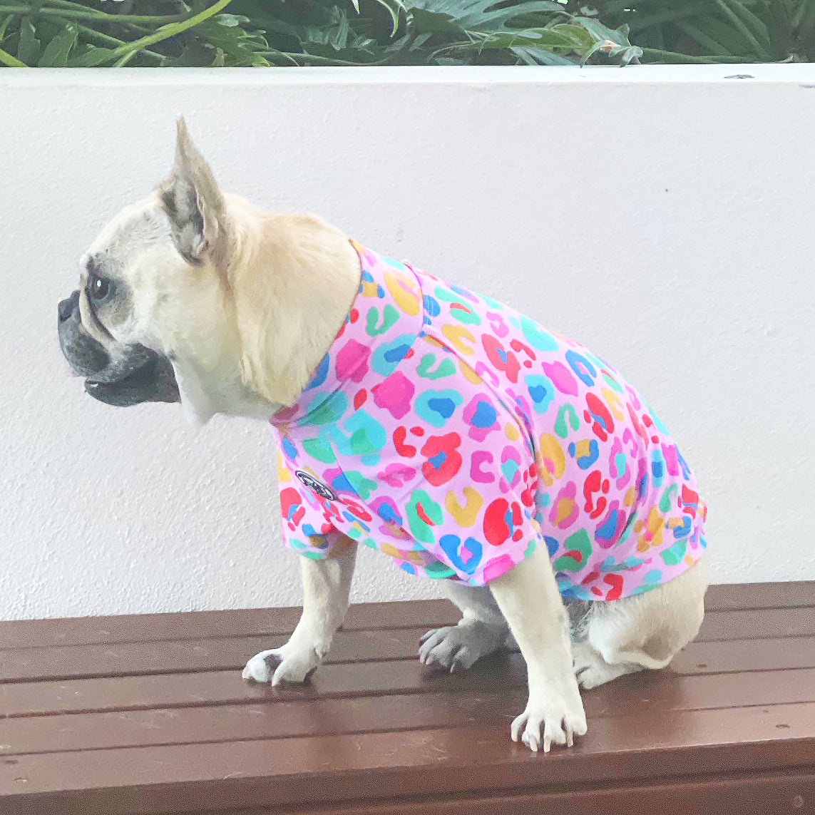 Pink Cheetah Party - Sun & Sand Rashie UV 50+