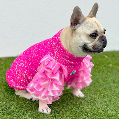 Deluxe Candy (Tiered Ruffle Sleeve) Dog Clothing