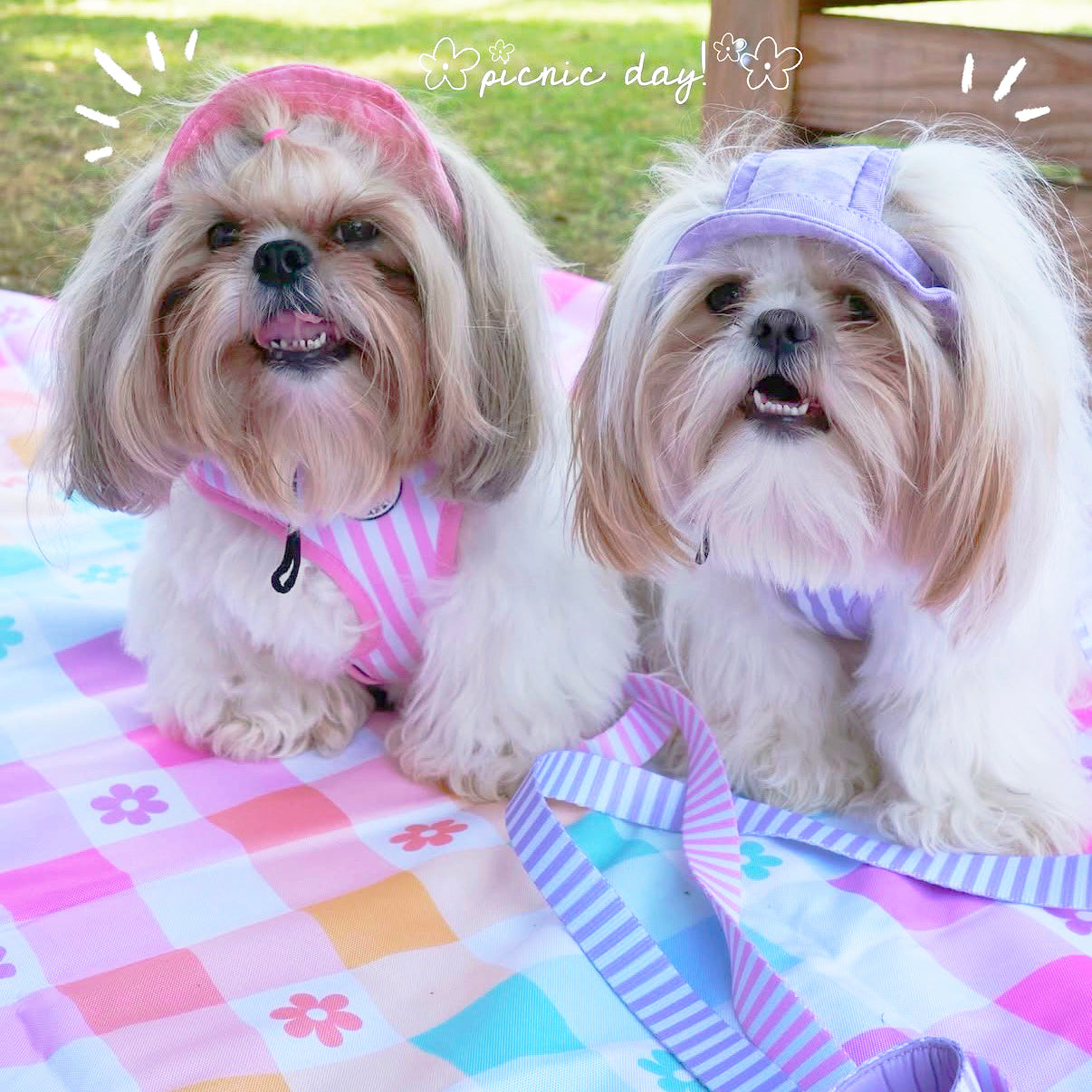 Gingham Wonderland -Large Beach or Picnic Mat!