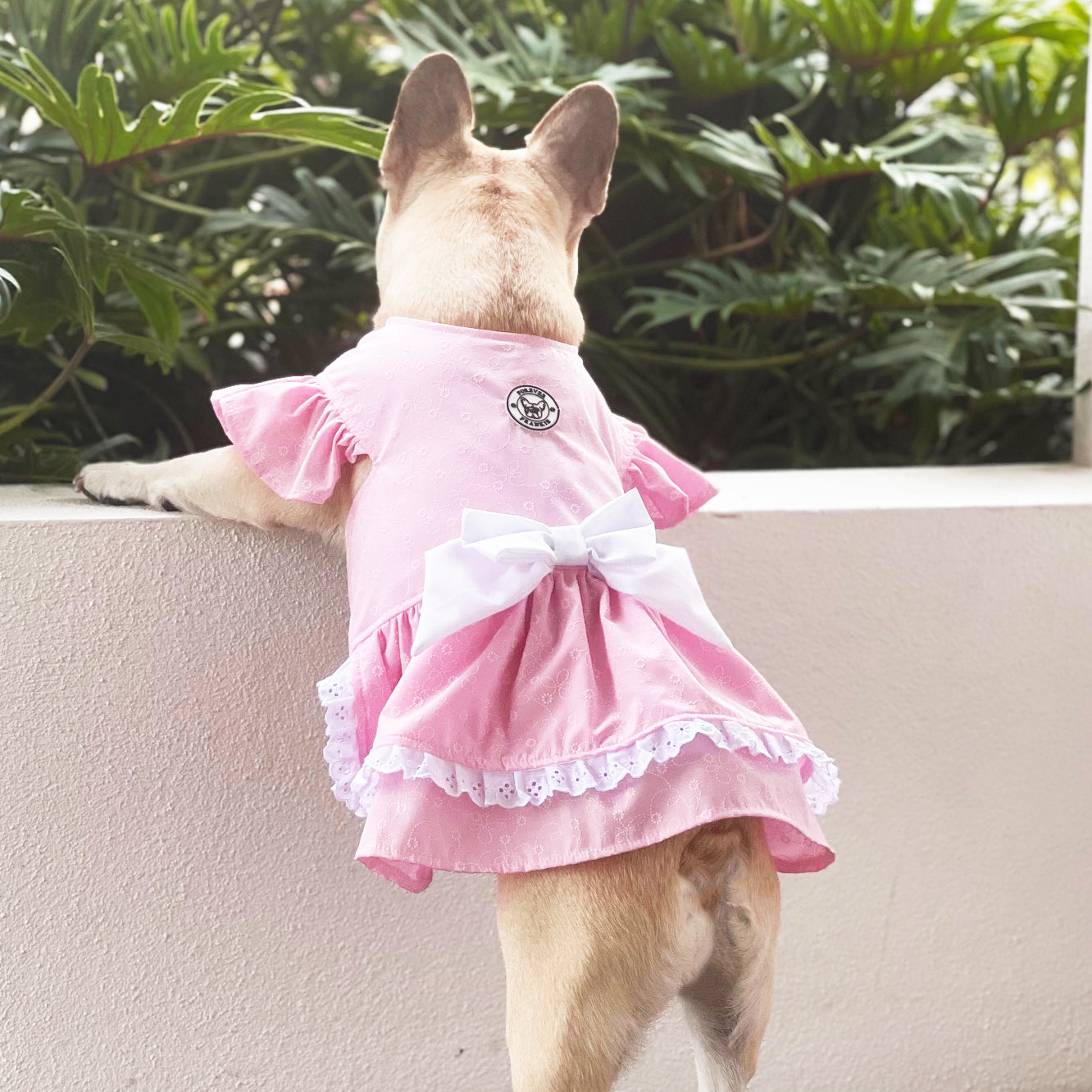 Puffy Pink Dog Dress with white bow (Limited Edition)