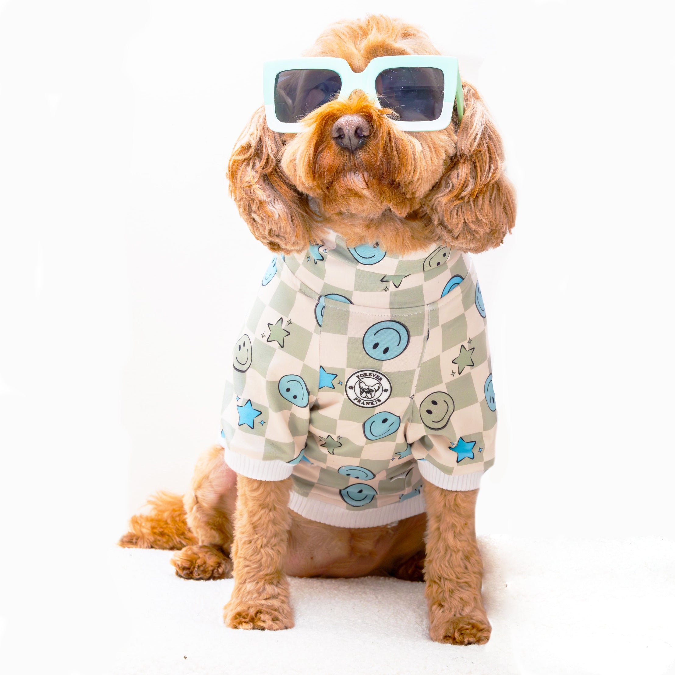 Luxe-Serene Smiles Dog Skivvy