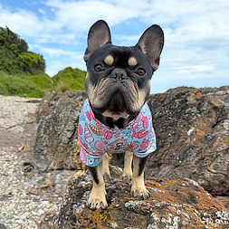 Under the Sea Blue - Sun & Sand Rashie UV 50+