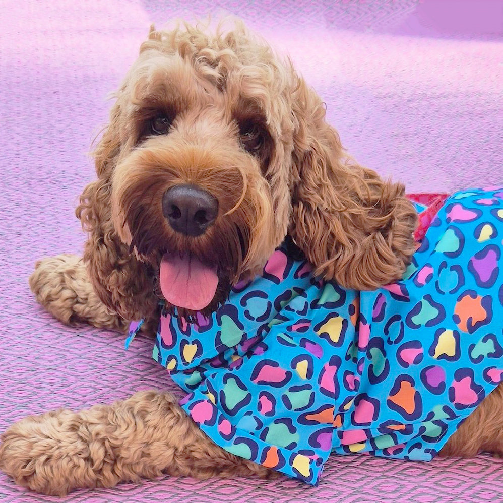 Psychedelic Cheetah - Party Shirt