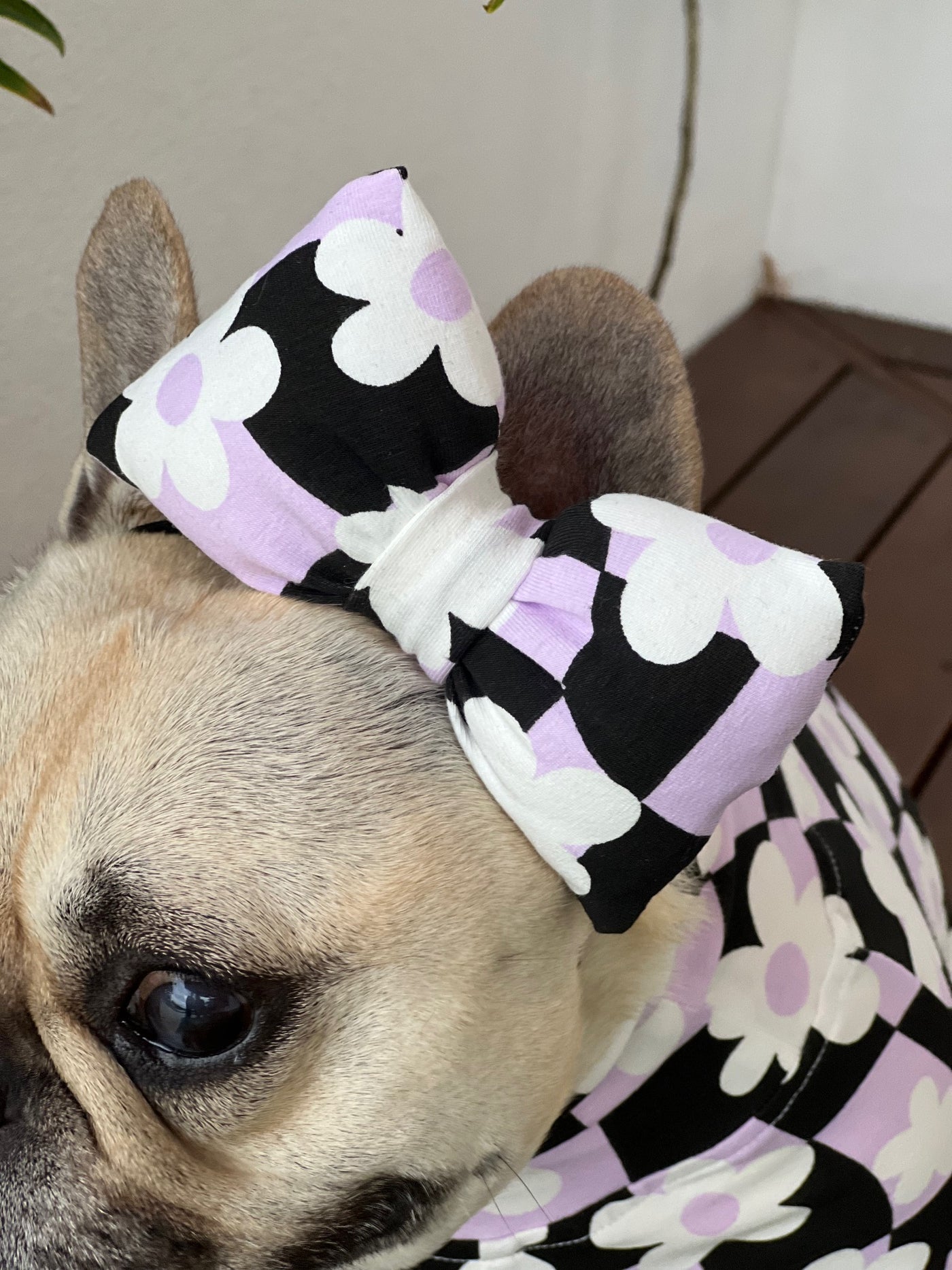 Floral Checkers - Padded Head Bow (Limited Edition)