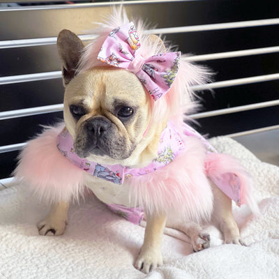 Blush Bear Furry Ruffles Dog Dress with bow (Limited Edition)