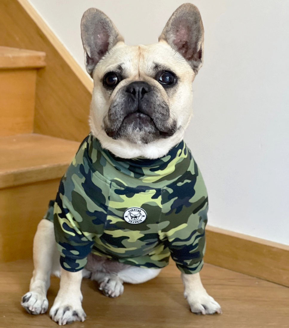 Camo Dog Skivvy
