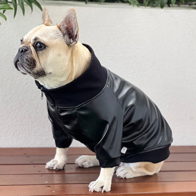 Leader of the Pack Dog Faux Black Leather Jacket   (Limited Edition)